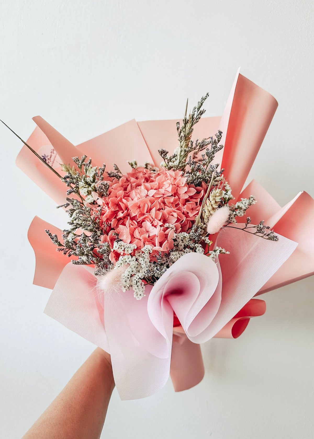 Preserved Coral Pink Hydrangea