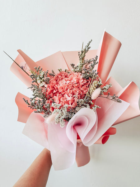 Preserved Coral Pink Hydrangea