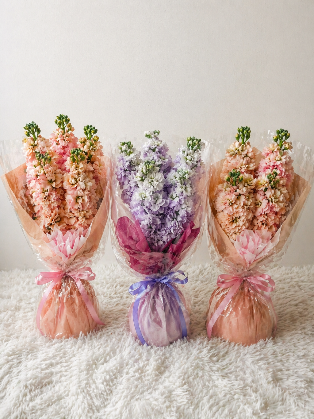 Simple Matthiola Bundles (Bundle of 3 or 5 sets)