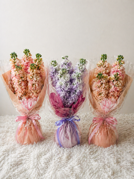 Simple Matthiola Bundles (Bundle of 3 or 5 sets)