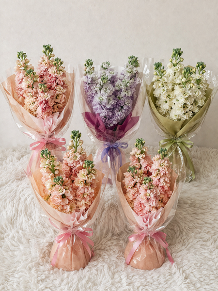 Simple Matthiola Bundles (Bundle of 3 or 5 sets)