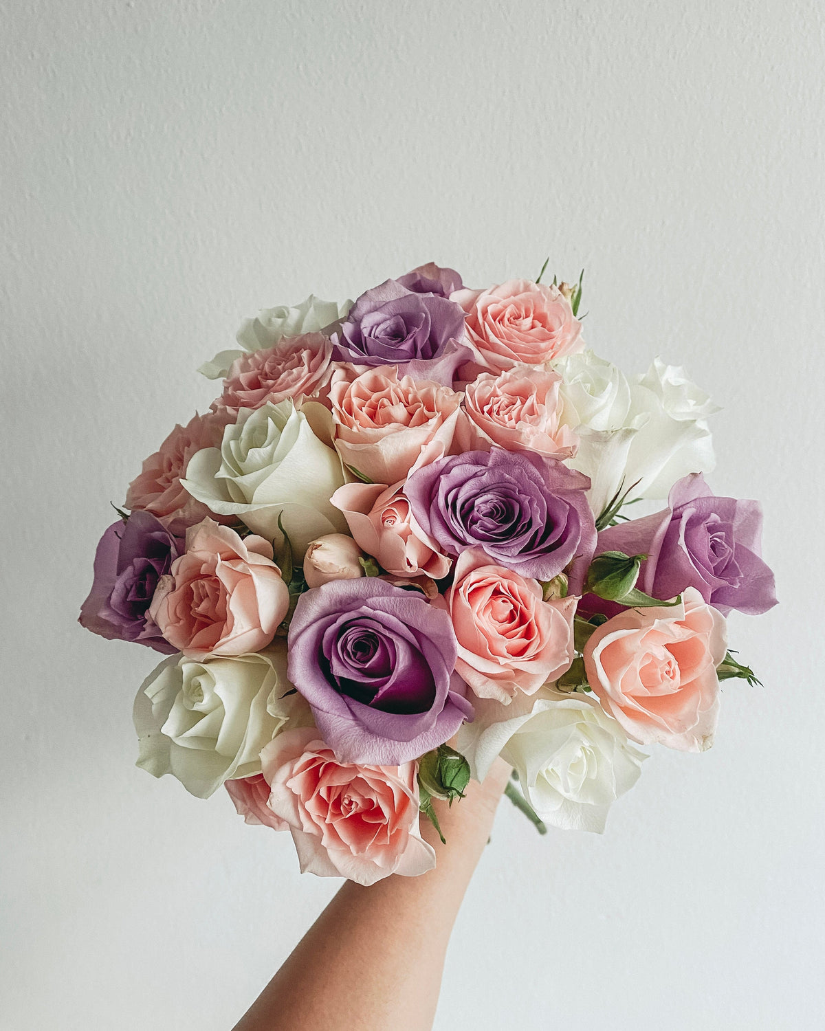 Mixed Bloom